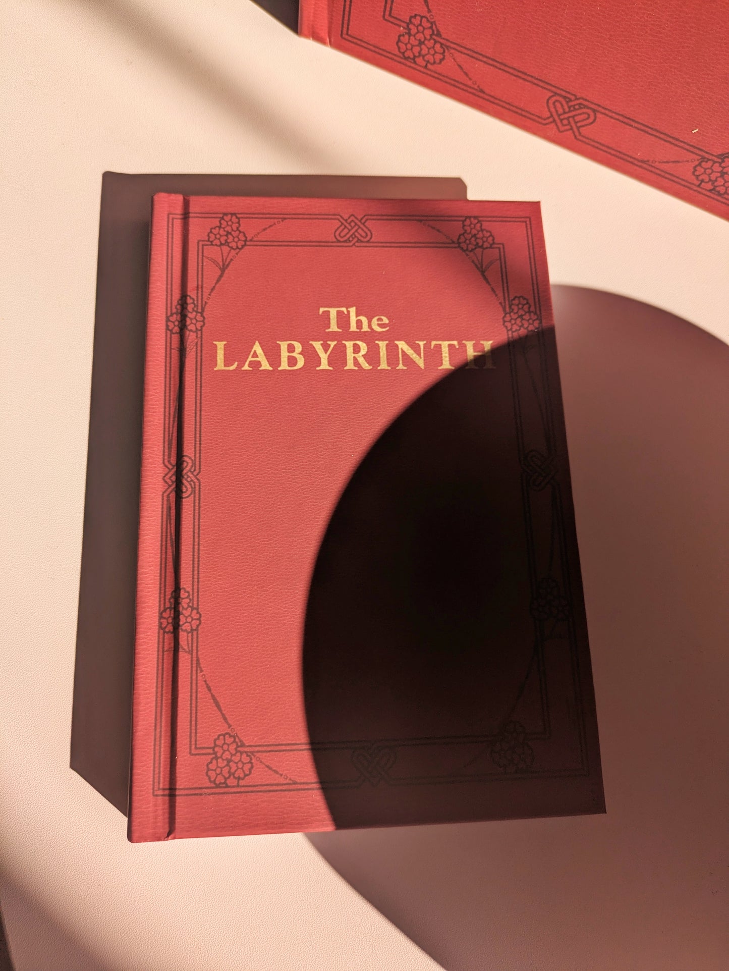The Labyrinth Sarah's book