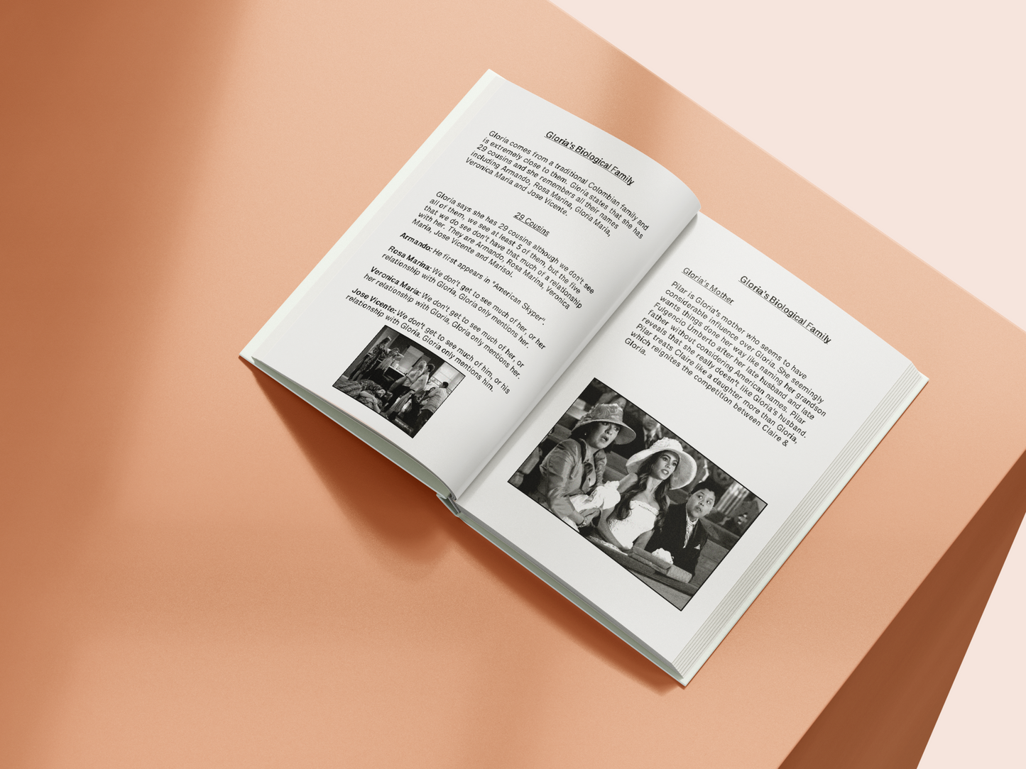 Ultimate Guide to Modern Family: Fan-Made Collectible Book - Relive the Pritchett Family Adventures!