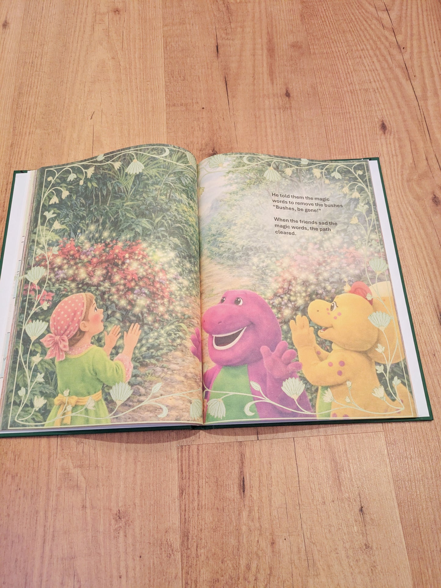 The Land of Make Believe - Barney Themed Book From the Show