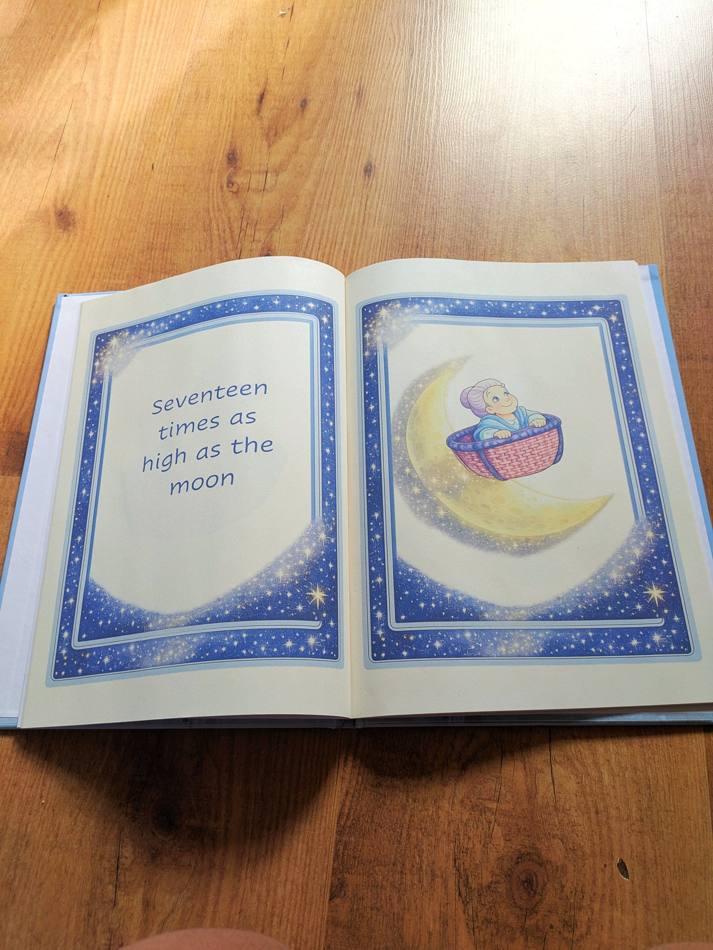 The Woman Who Flew Barney Book Replica | 90s TV Prop, Display Gift