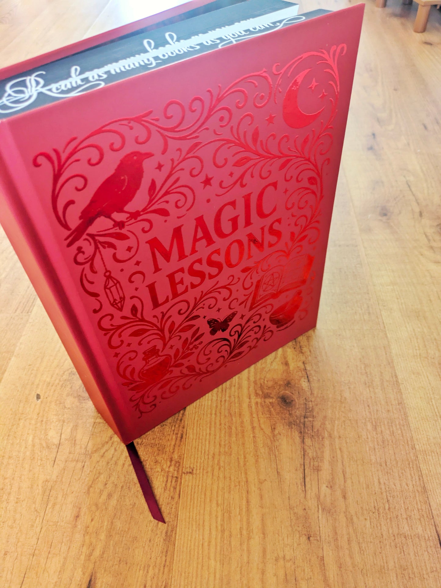 Magic Lesson Practical Magic Book 1 Special Edition Hardcover -  The Original Story