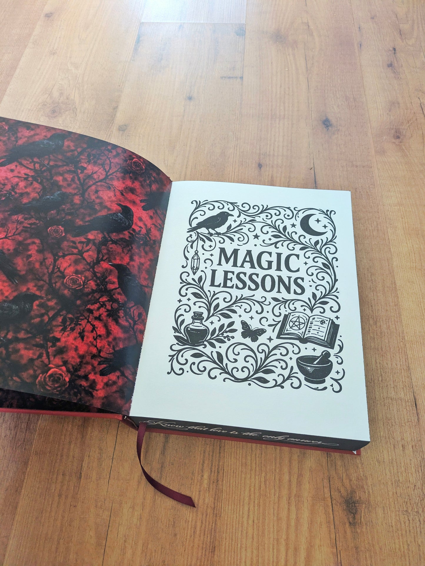Magic Lesson Practical Magic Book 1 Special Edition Hardcover -  The Original Story