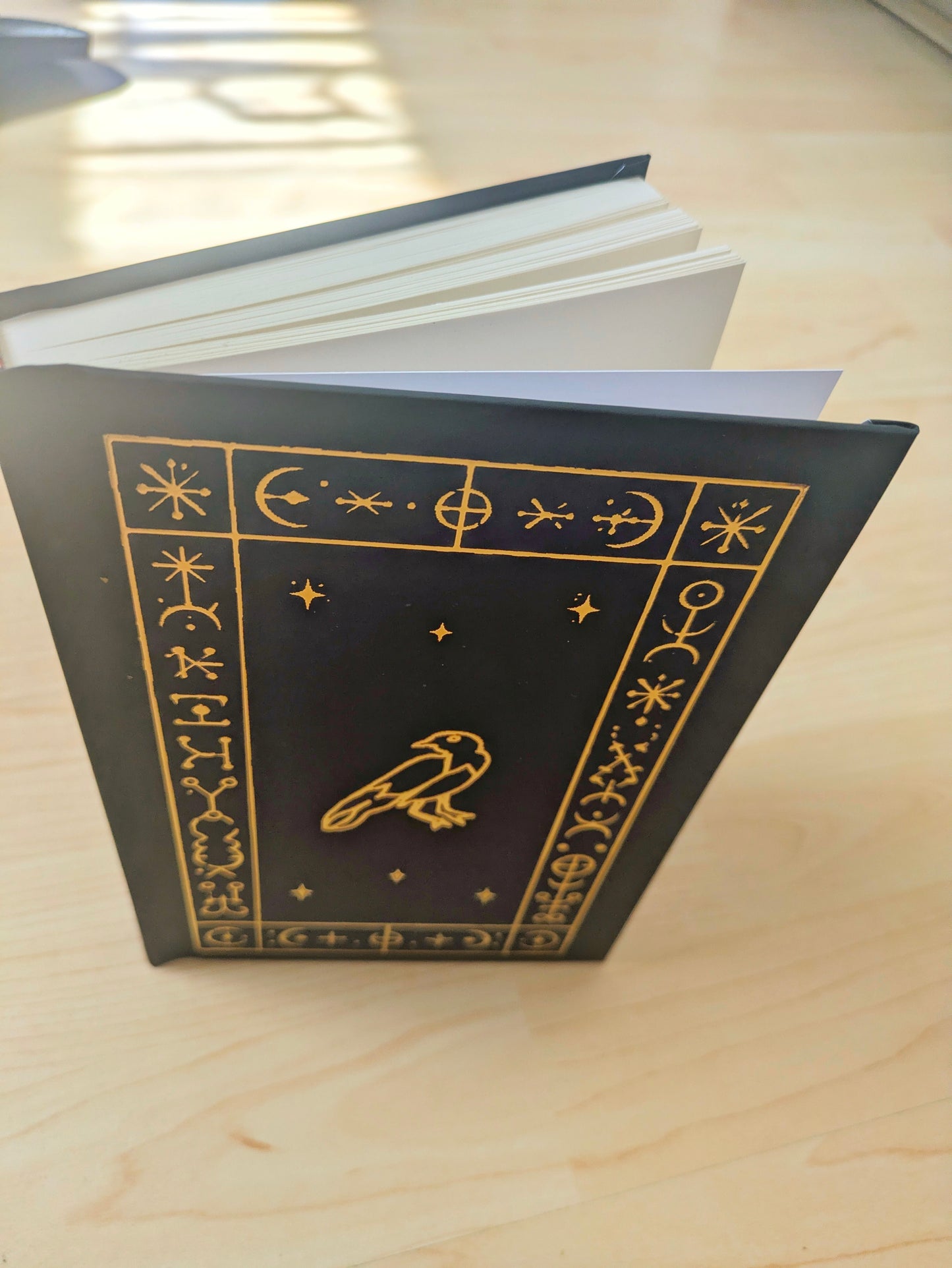 Practical Magic 2 Book of Raven Notebook, Gold Foil Red or Black Film Inspired Prop Replica
