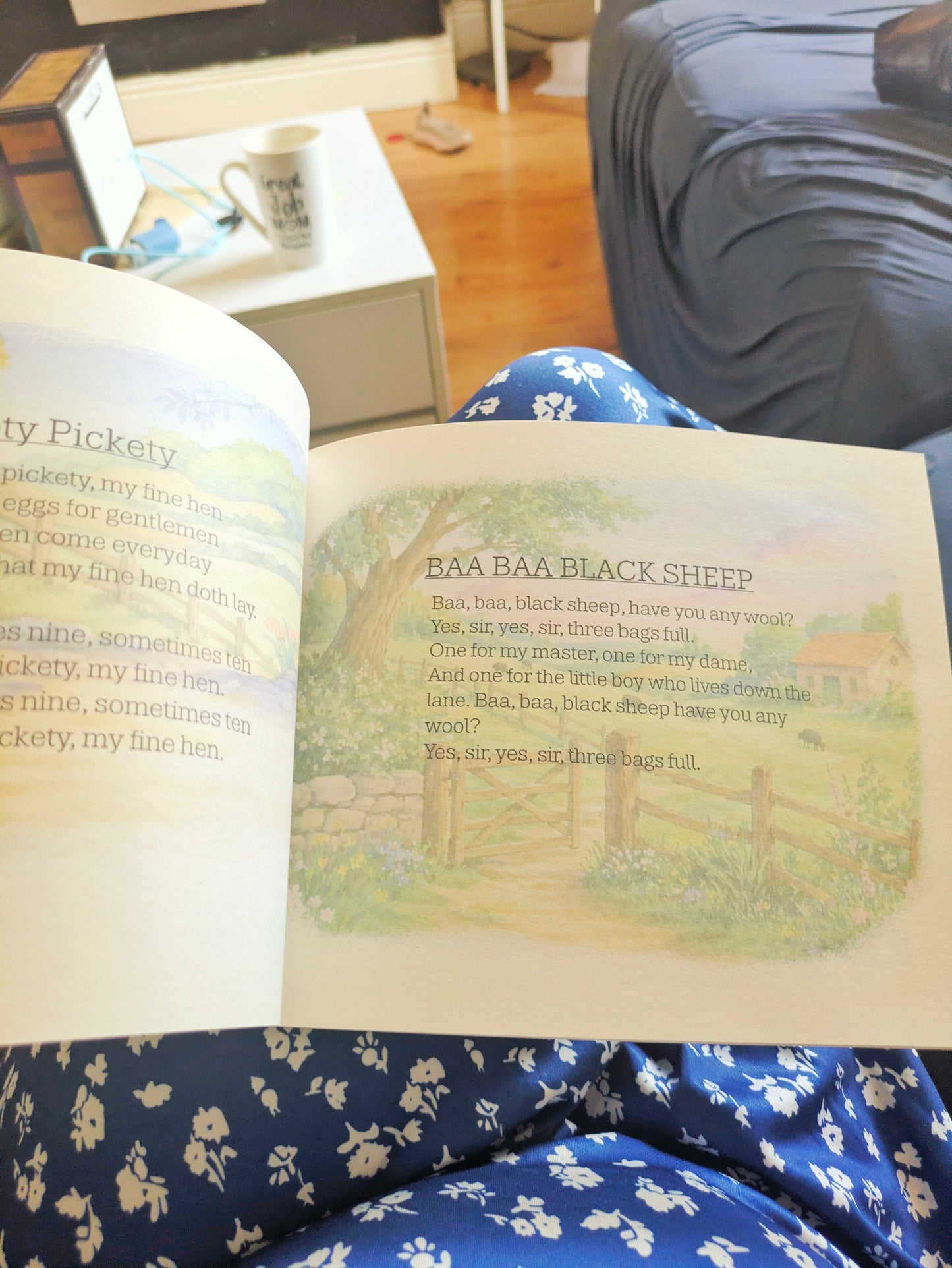 Farm Rhymes - Barney Themed Book From the Show