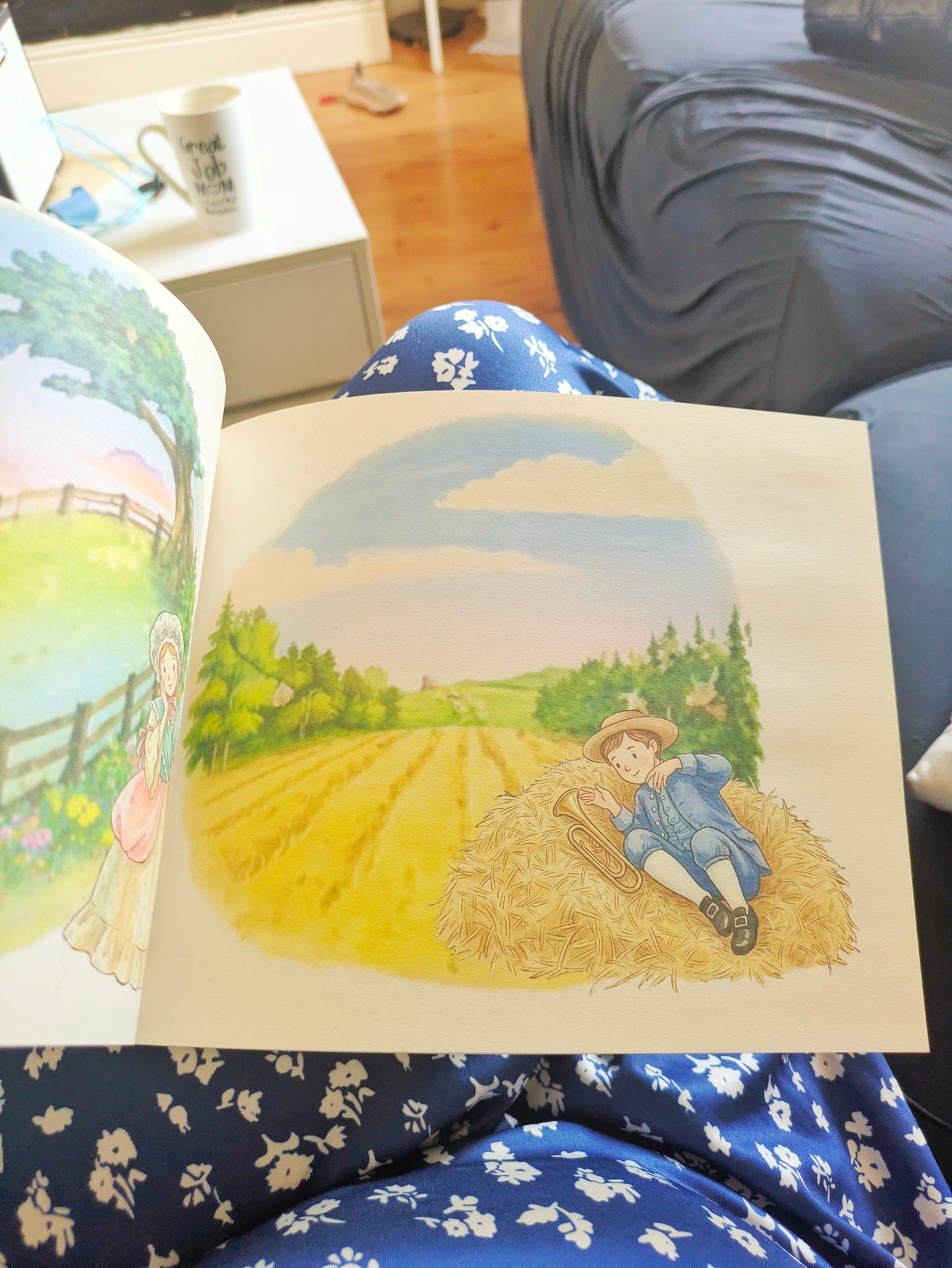 Farm Rhymes - Barney Themed Book From the Show