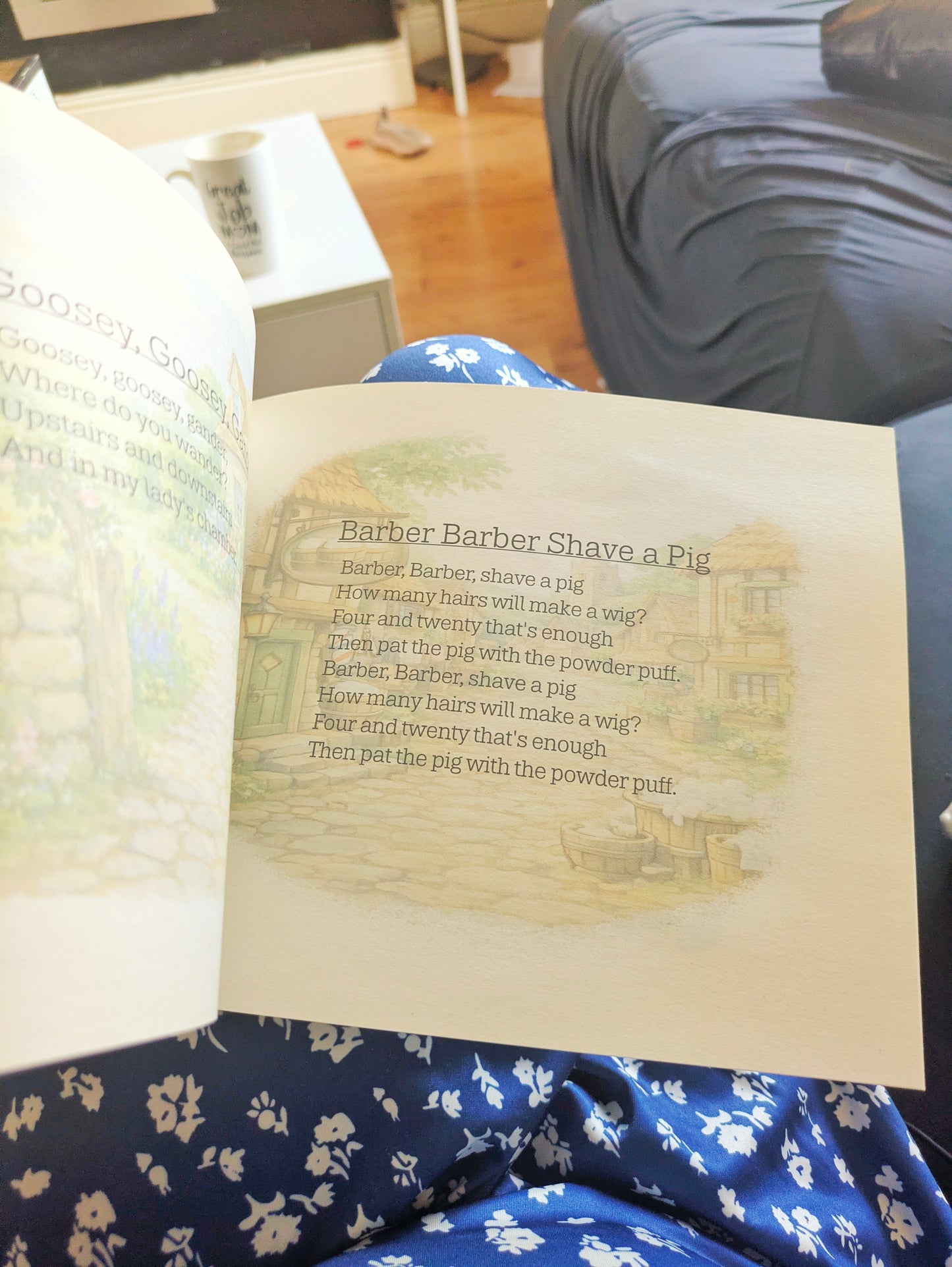 Farm Rhymes - Barney Themed Book From the Show