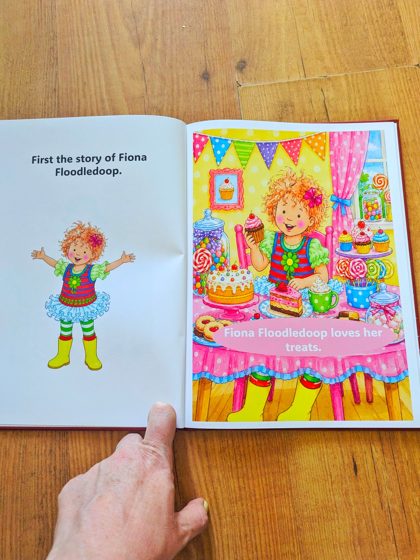 The Floodledoops - Barney Themed Book From the Show