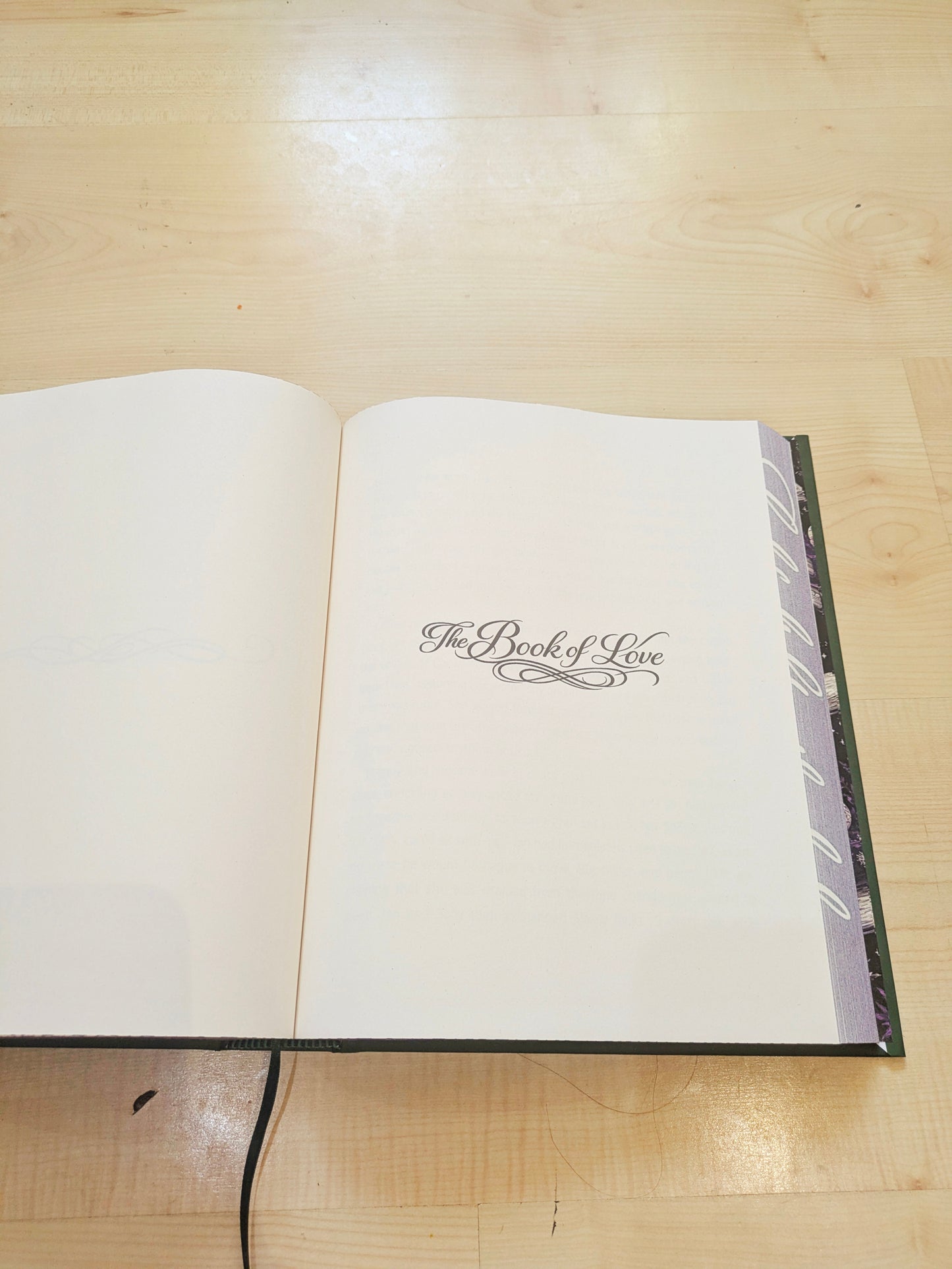 The Book of Magic Practical Magic Book 4 Special Edition Hardcover