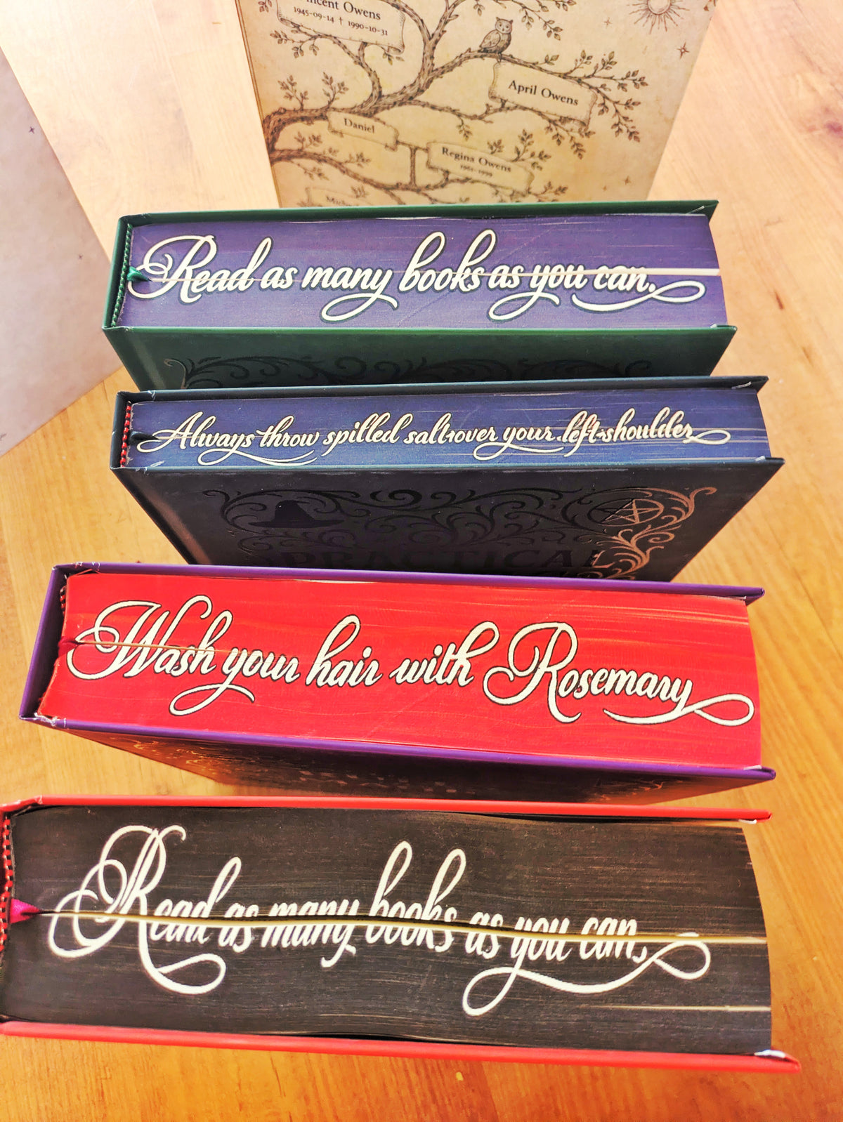 Practical Magic Special Edition Box Set All 4 Books