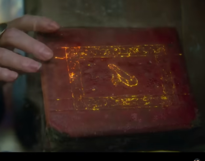 Practical Magic 2 Book of Raven Notebook, Gold Foil Red or Black Film Inspired Prop Replica