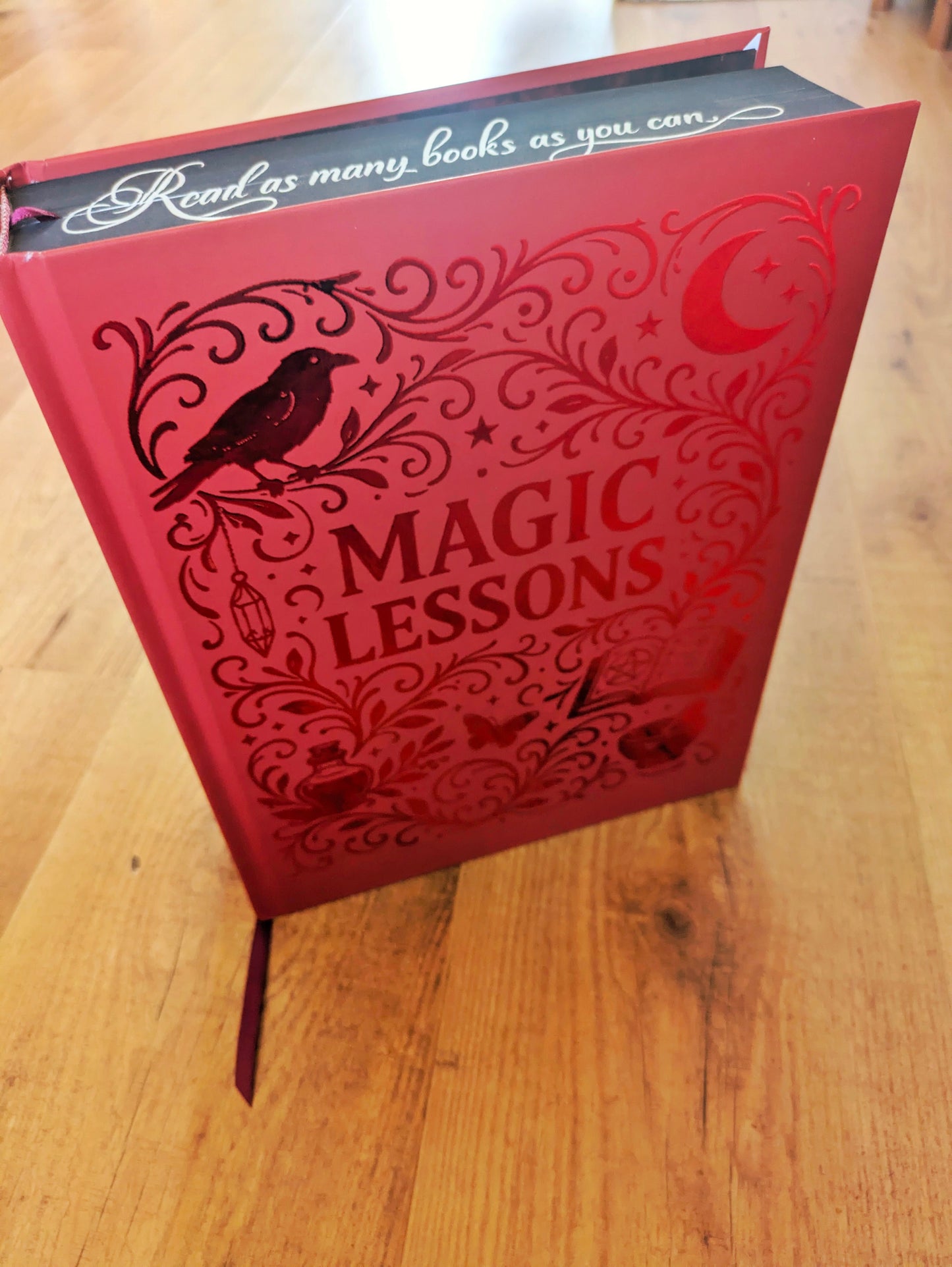 Magic Lesson Practical Magic Book 1 Special Edition Hardcover -  The Original Story
